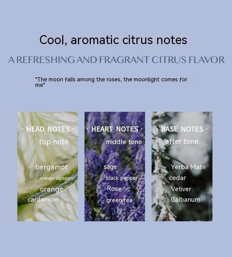 Aromatic Citrus Aromatic Perfume Long - lasting Perfume - Zambeel