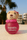 Baboon Collection - Cartoon Perfume - Zambeel