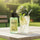 Integrity Lemon Fresh Extrait De Parfum - Zambeel